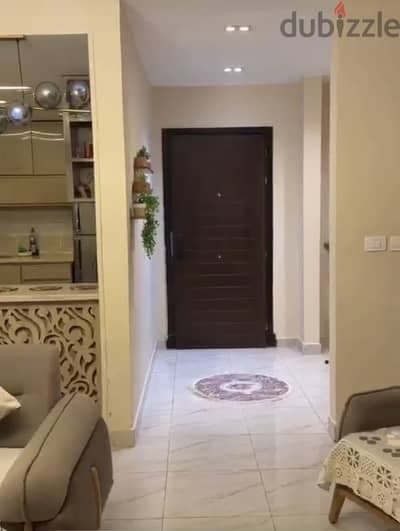 شقه مفروشه 10