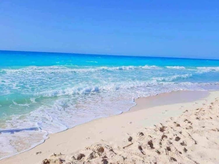 شاليهات للإيجار اليومي في قرية مينا 4 بالساحل الشمالي 5