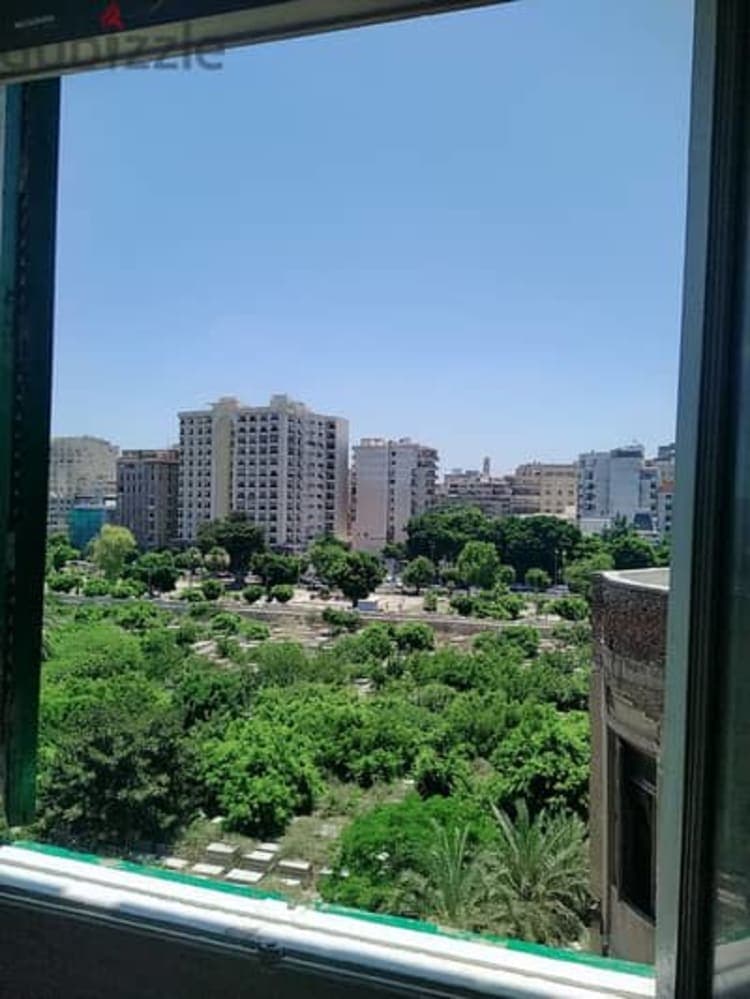 شقه للايجار شارع شامليون امام المجمع الطبى مباشرة 5