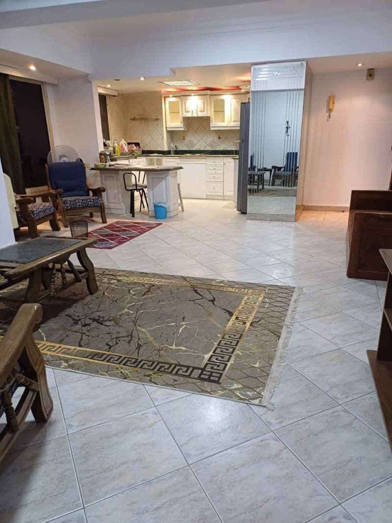 Furnished Studio for Rent in Dokki 1