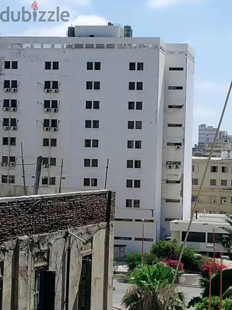 شقه للايجار شارع شامليون امام المجمع الطبى مباشرة 1