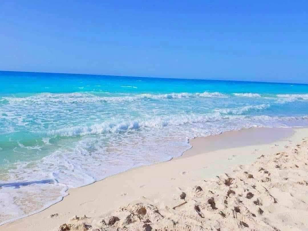 شاليهات للإيجار اليومي في قرية مينا 4 بالساحل الشمالي 5