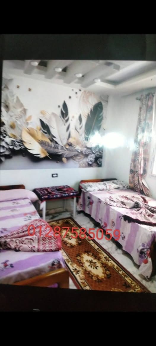3-bedroom chalet for rent seafront, North Coast 2