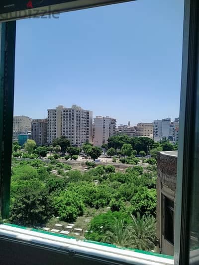 شقه للايجار شارع شامليون امام المجمع الطبى مباشرة 5