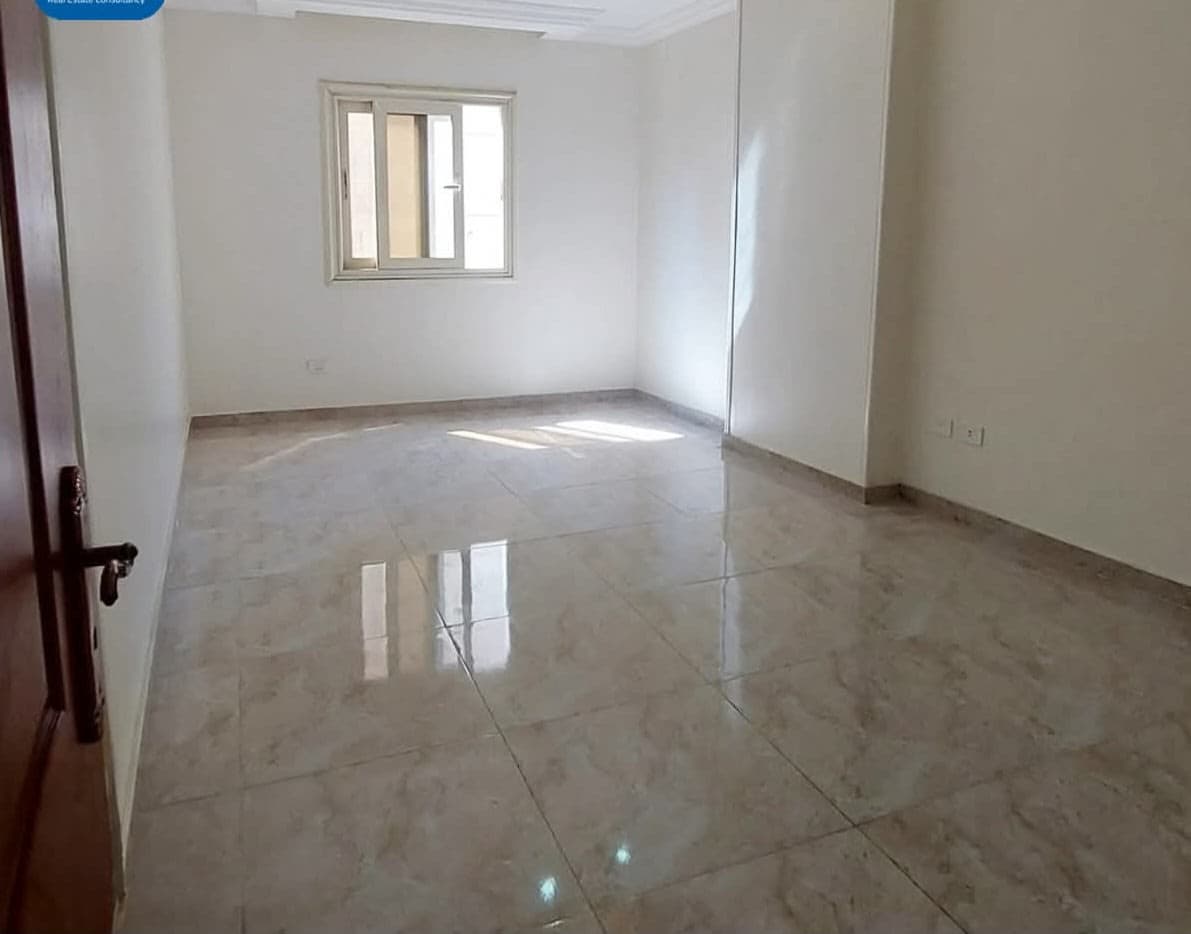 الاسكندرية ✨️ميامى✨️ اسكندر ابراهيم 5